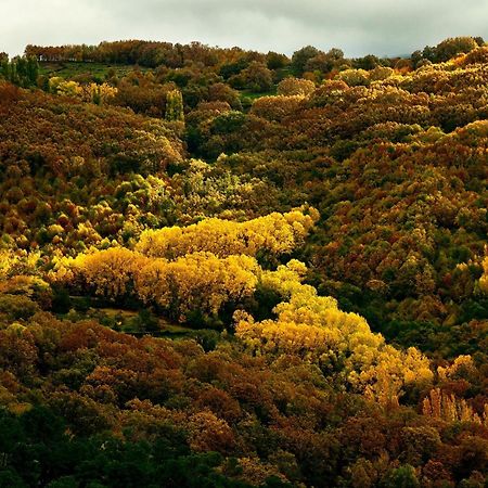 Aroma De Primavera En Casas Rurales Acebuche Casas del Monte Dış mekan fotoğraf