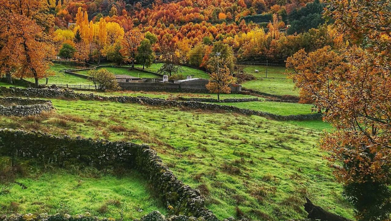 Aroma De Primavera En Casas Rurales Acebuche Casas del Monte Dış mekan fotoğraf