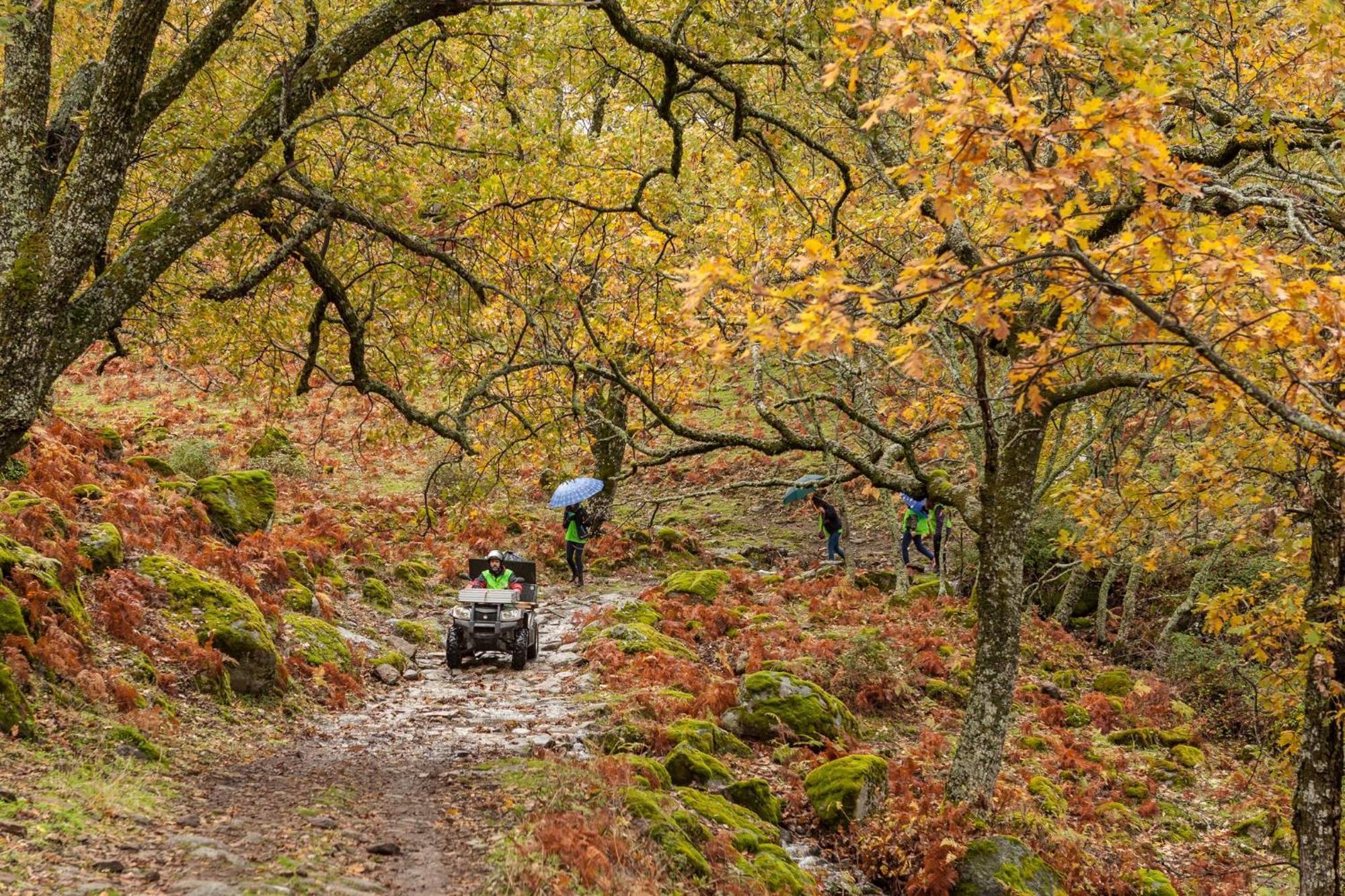 Aroma De Primavera En Casas Rurales Acebuche Casas del Monte Dış mekan fotoğraf