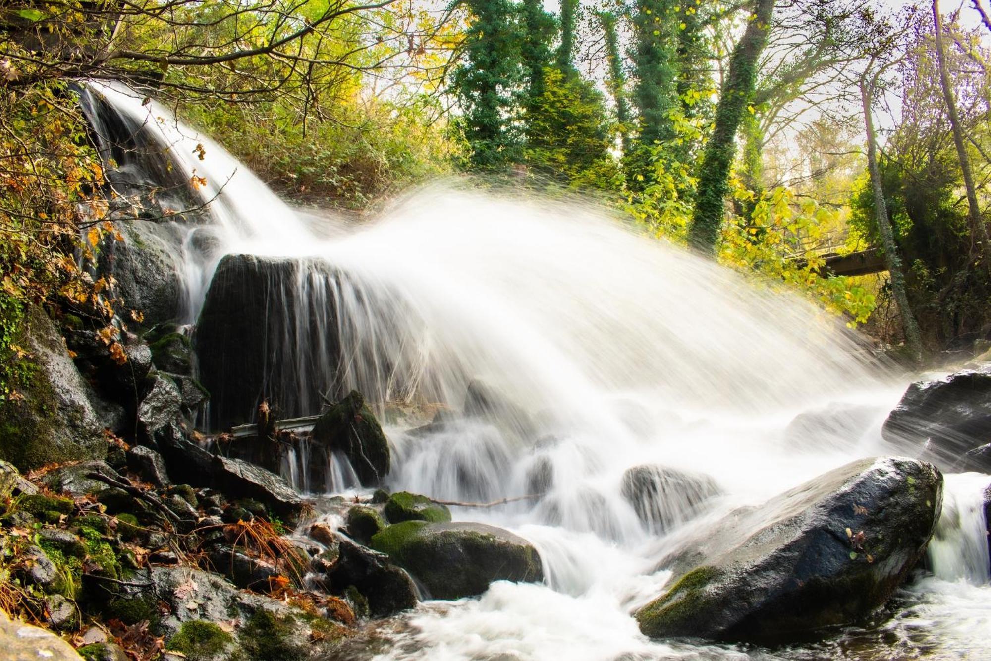 Aroma De Primavera En Casas Rurales Acebuche Casas del Monte Dış mekan fotoğraf