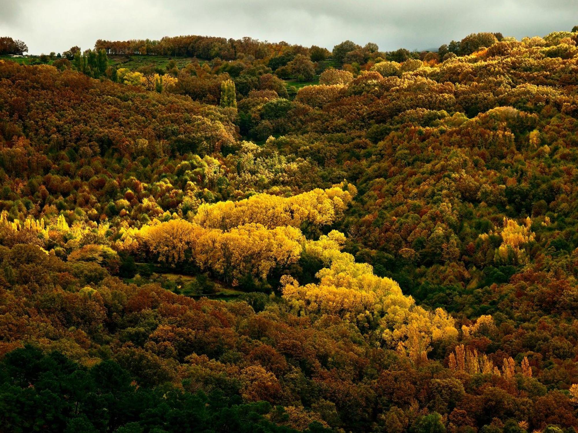 Aroma De Primavera En Casas Rurales Acebuche Casas del Monte Dış mekan fotoğraf
