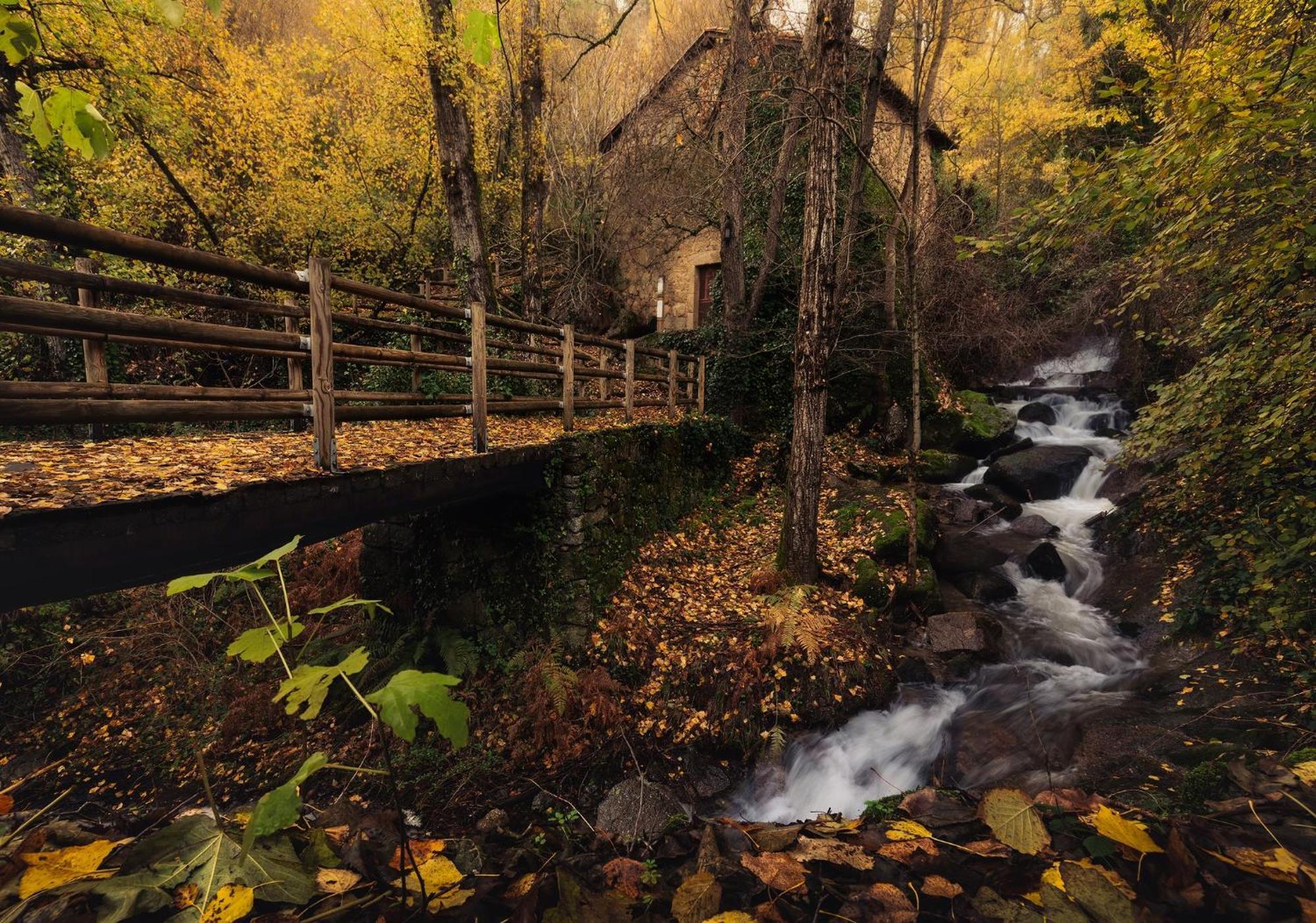 Aroma De Primavera En Casas Rurales Acebuche Casas del Monte Dış mekan fotoğraf
