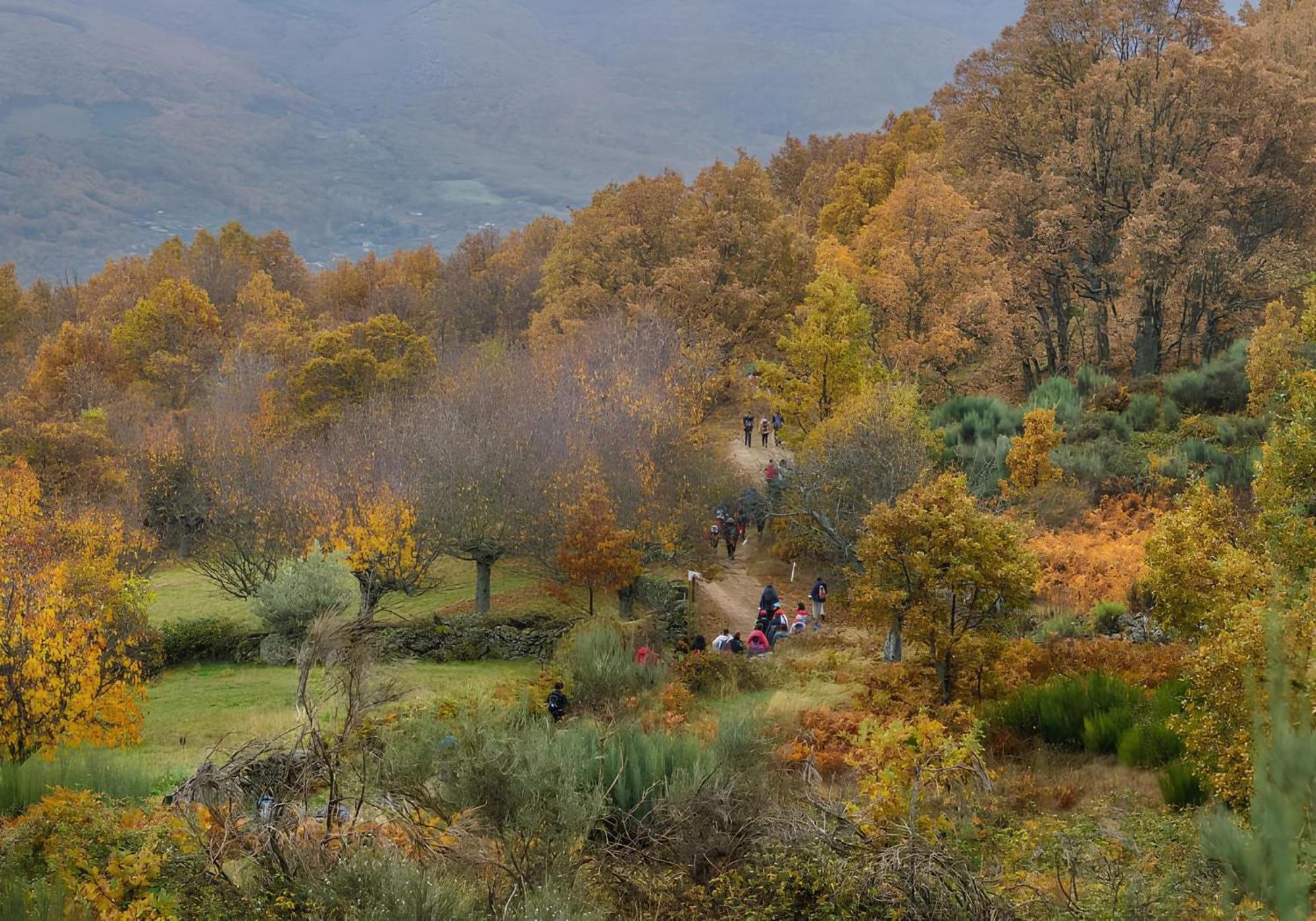 Aroma De Primavera En Casas Rurales Acebuche Casas del Monte Dış mekan fotoğraf