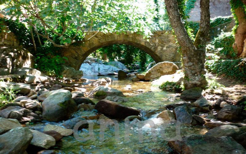 Aroma De Primavera En Casas Rurales Acebuche Casas del Monte Dış mekan fotoğraf